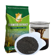 Khumic ISO9001 foliar fertilizer sargassum source 18% alginic acid flakes seaweed organic fertilizer extract